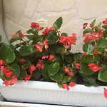 La Corte In Centro Bed and Breakfast Καζέρτα