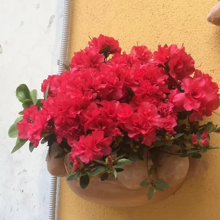 La Corte In Centro *